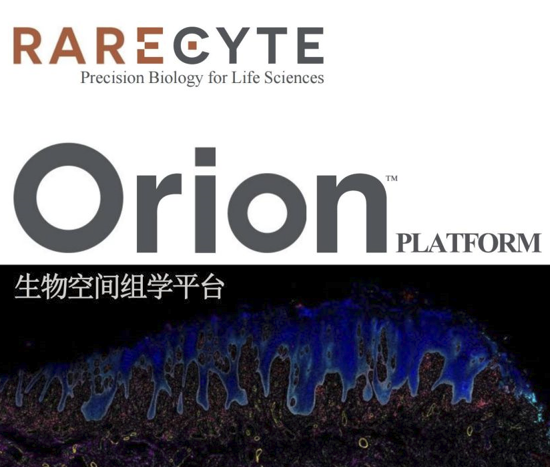 Orion生物空间组学平台